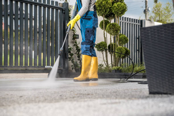 Best House Exterior Washing  in West Hurley, NY